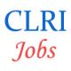 Scientist Jobs in CLRI