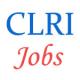 Various Jobs in Central Leather Research Institute (CLRI)