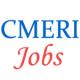 Scientist Jobs in CSIR CMERI