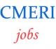 Scientists Jobs in CSIR CMERI