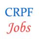 ASI Steno Jobs in CRPF