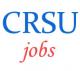 Professor Teaching Jobs in CRSU