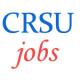 Teaching Jobs in CRSU