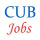 Various Jobs in Central University of Bihar (CUB)