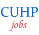 Non-Teaching Jobs in CUHP