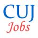 Teaching Jobs in Central University of Jharkhand