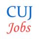 Various Jobs in Central University of Jammu (CUJ)