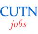 Teaching Jobs in CUTN