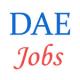 Various Jobs in Department of Atomic Energy (DAE)