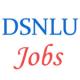 Teaching Jobs in DSNLU