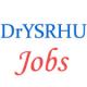 Assistant Professors Jobs in Dr. YSR Horticultural University