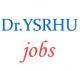 Assistant Professors Jobs in Dr. YSR Horticultural University