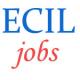 Experienced Executive Jobs in ECIL