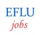 Teaching Jobs in EFLU