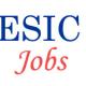 Teaching Jobs in ESIC