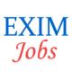 Officers Jobs in EXIM