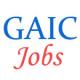 Gujarat Agro Industries Corporation Ltd. Jobs