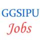 GGSIPU Delhi Jobs