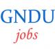 Teaching Non-Teaching Jobs in GNDU