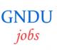 Teaching and Non-Teaching Jobs  in GNDU