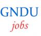 Assistant Professor Jobs in GNDU