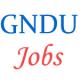 Non-Teaching Jobs in GNDU