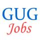 Teaching Jobs in Gondwana University Gadchiroli