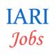 Various Technical Jobs in Indian Agricultural Research Institute (IARI)