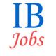 Specialist Officers Jobs in Indian Bank