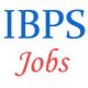 Clerical Jobs in Banks by IBPS