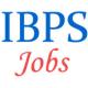 Specialist Officers Jobs in IBPS