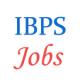 Various Officers jobs through Institute of Banking Personnel Selection (IBPS)