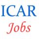 Research Management Jobs in ICAR