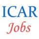 09 posts of Lower Division Clerk (LDC) in Indian Council of Agricultural Research (ICAR)