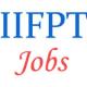 Teaching Jobs in IIFPT