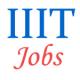 Manager Jobs in IIIT