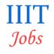 Teaching and Administrative Jobs in IIIT