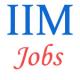 Teaching Jobs in IIM