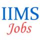 Rolling Teaching Jobs in IIM Sirmaur