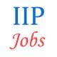 Indian Institute of Packaging Jobs