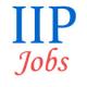 Scientist Jobs in Indian Institute of Petroleum (IIP)