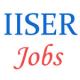 Indian Institute of Science Education & Research (IISER) Jobs