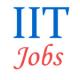 Indian Institute of Technology (IIT) Jobs