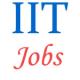 Administrative Jobs in IIT