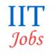 Teaching Jobs in IIT