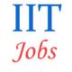 Teaching Jobs opening in  IIT Bhubaneswar