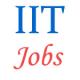 Research Establishment Officer Jobs in IIT