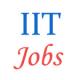 Various Professor jobs in Indian Institute of Technology (IIT)