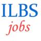 Contract Jobs in ILBS  