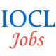 Non-Executive Workmen Jobs at IOCL